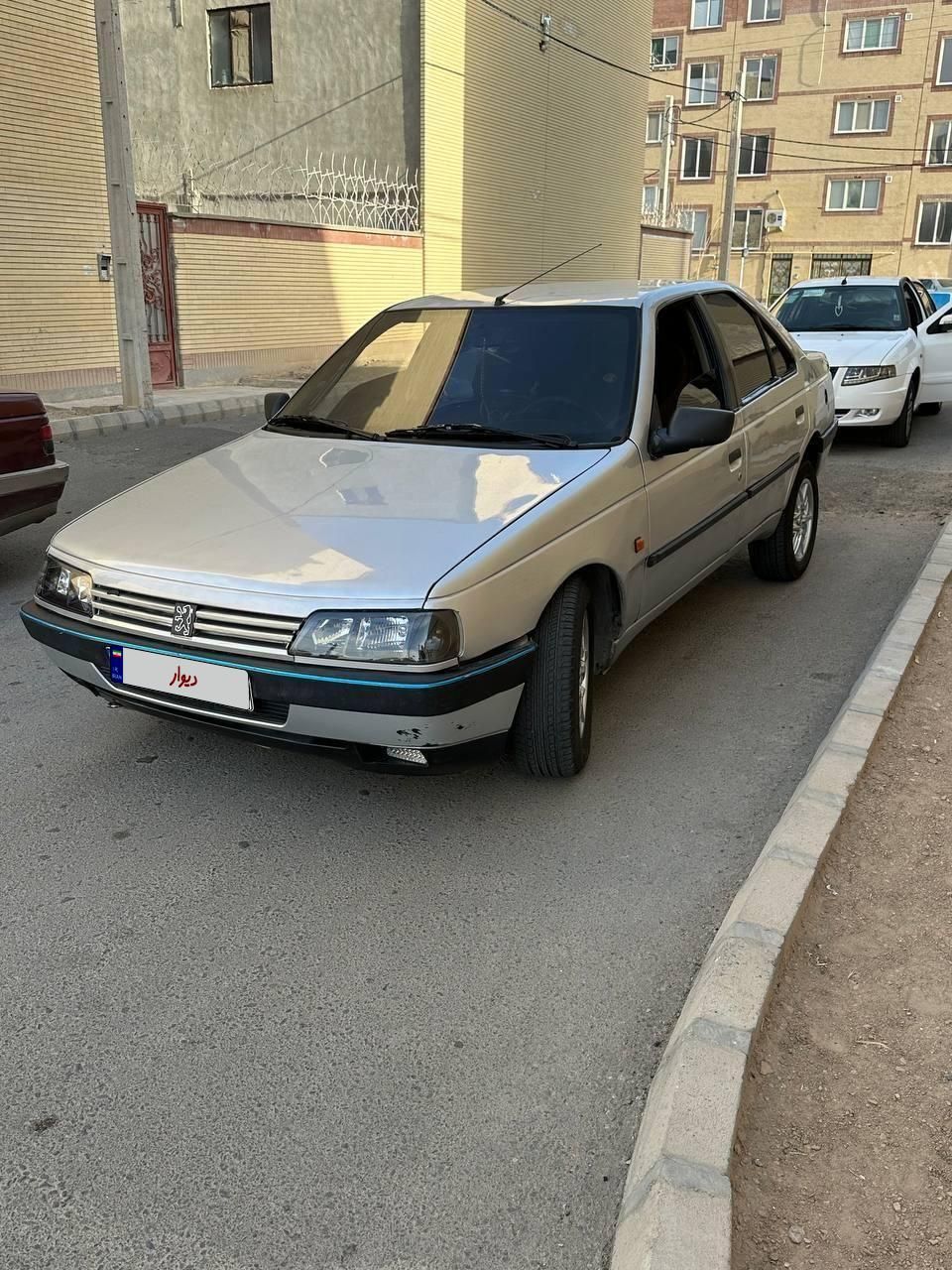 پژو 405 GL - دوگانه سوز CNG - 1369