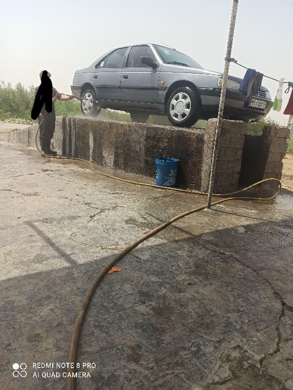پژو 405 GLX - دوگانه سوز - 1395