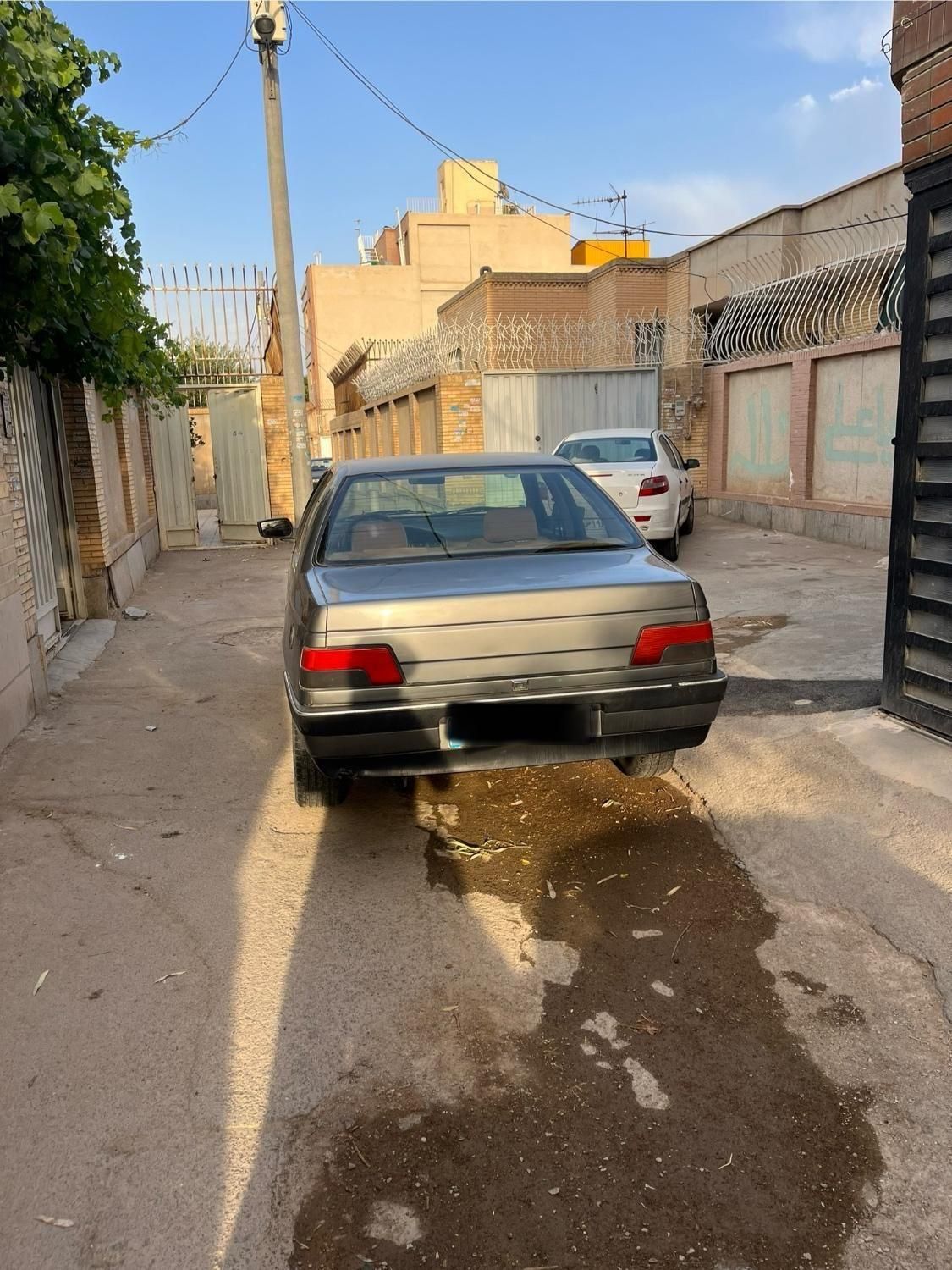 پژو 405 GLX - دوگانه سوز - 1392