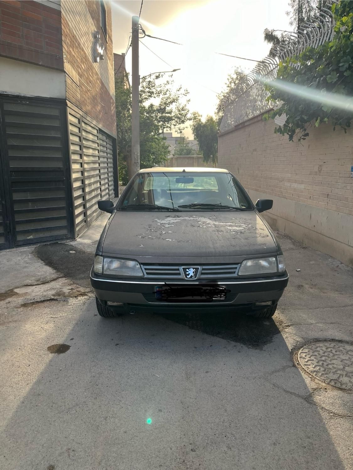 پژو 405 GLX - دوگانه سوز - 1392