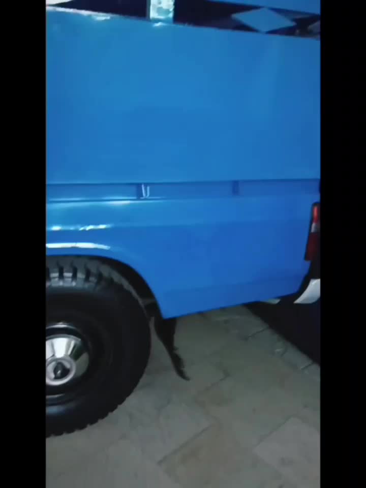 خودرو زامیاد، وانت نیسانZ24 آگهی ann_18396262