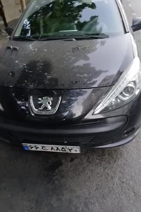 خودرو پژو، 207 آگهی ann_18398061