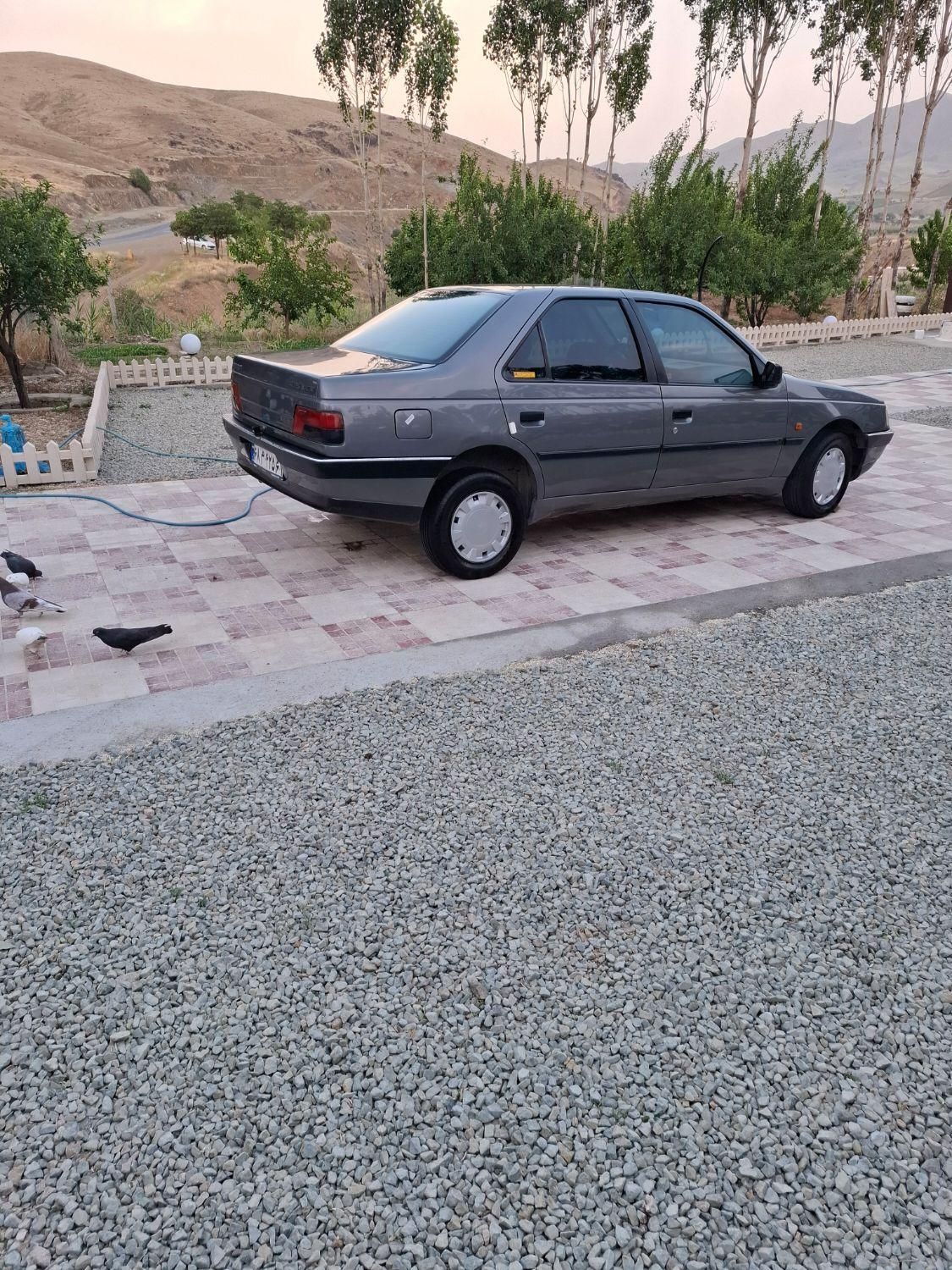 پژو 405 GLX - دوگانه سوز - 1393