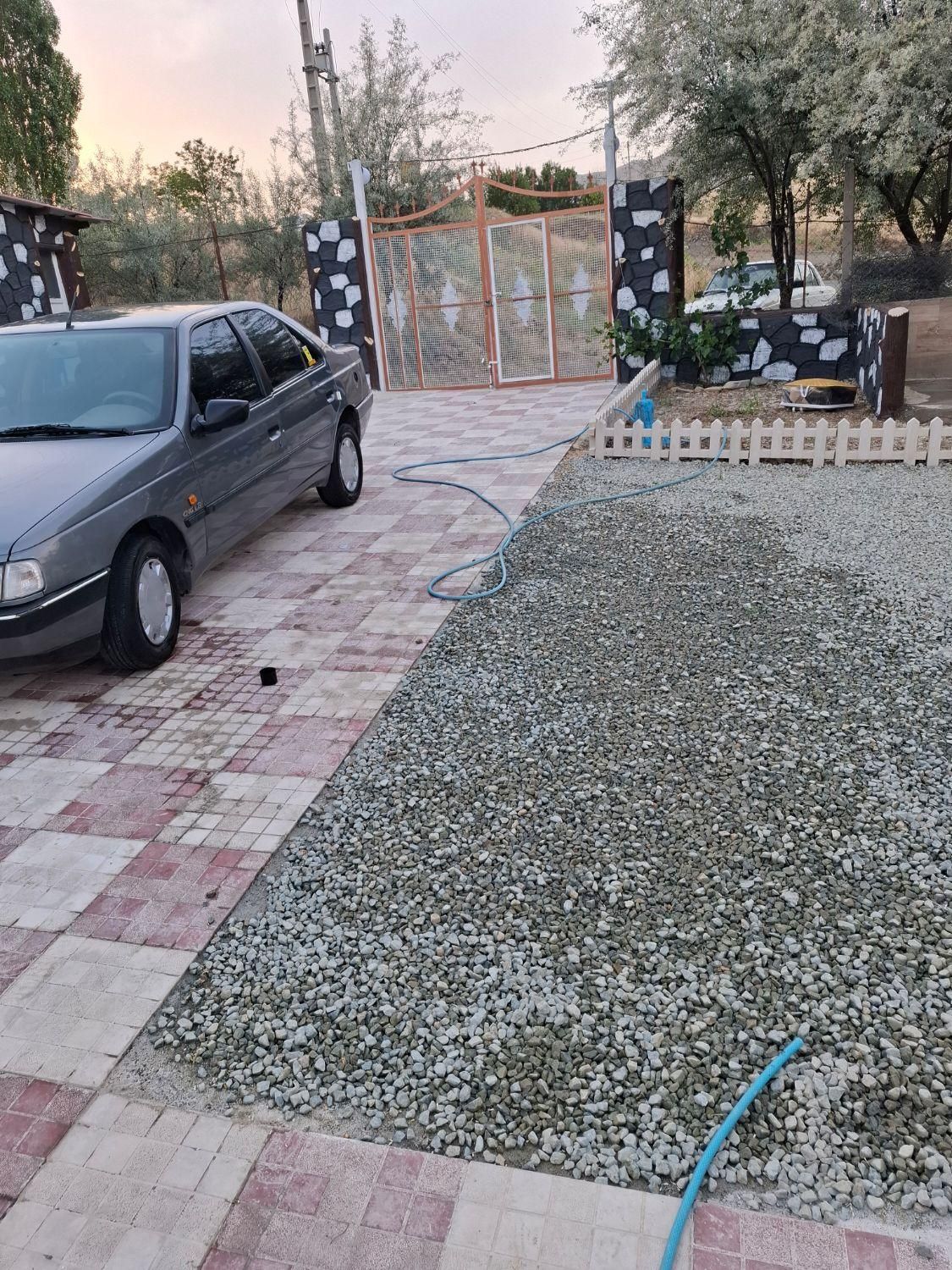 پژو 405 GLX - دوگانه سوز - 1393
