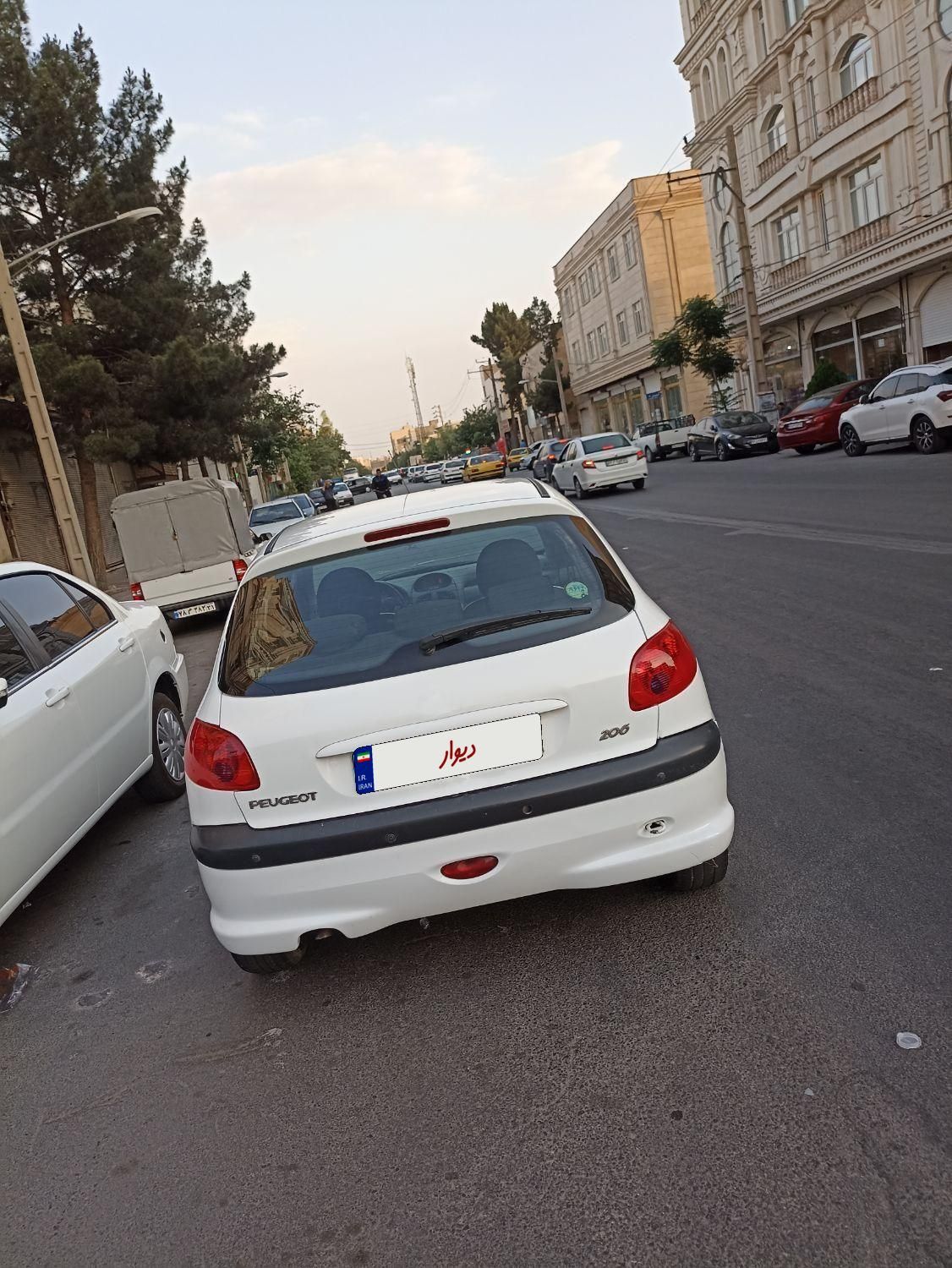 پژو 206 تیپ 5 - 1393