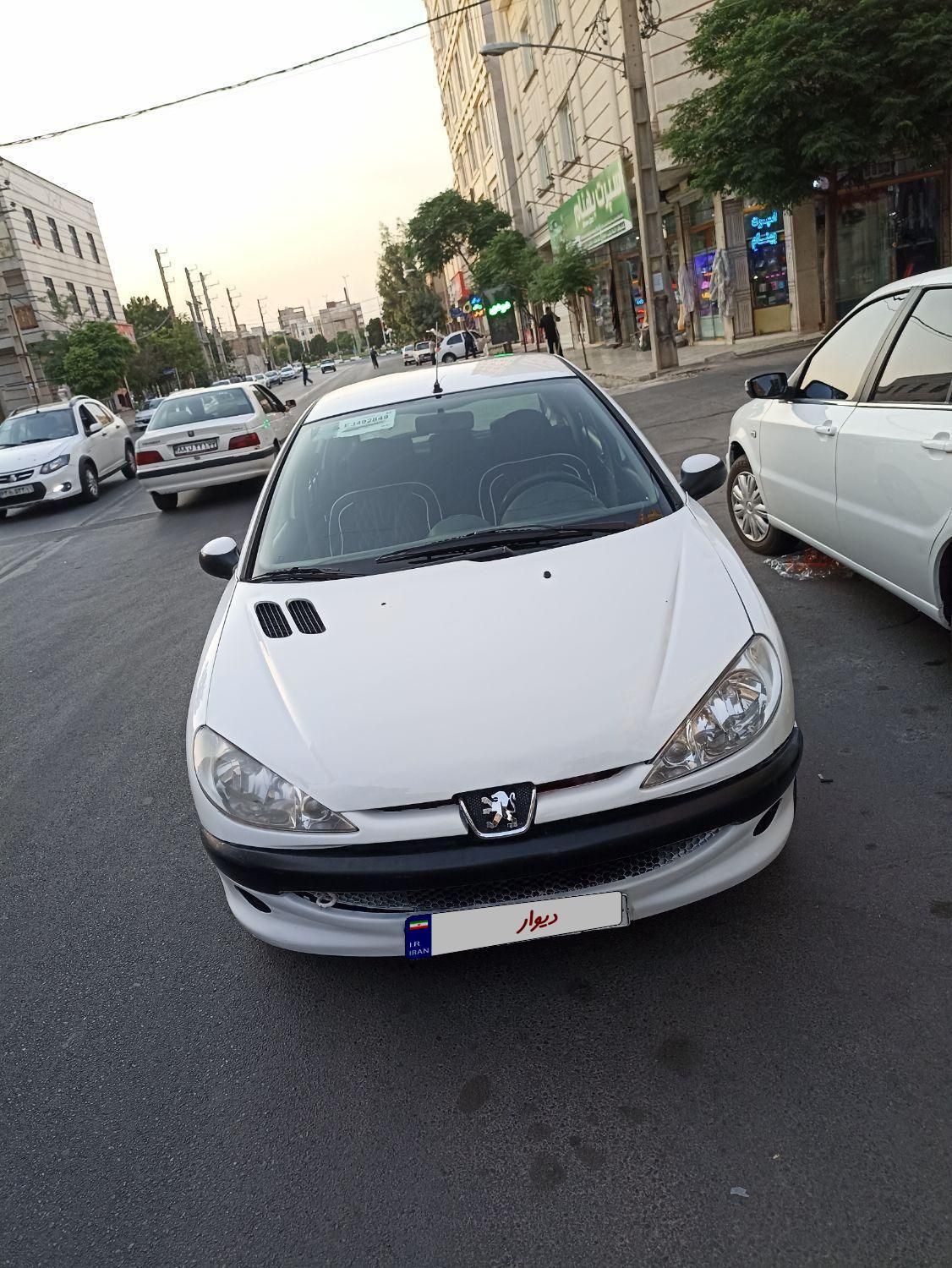 پژو 206 تیپ 5 - 1393