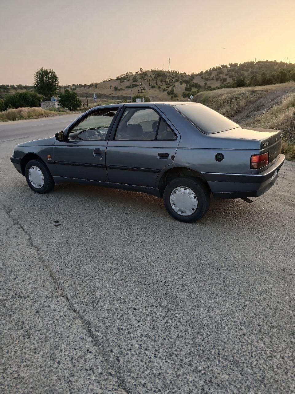 پژو 405 GLX - 1394