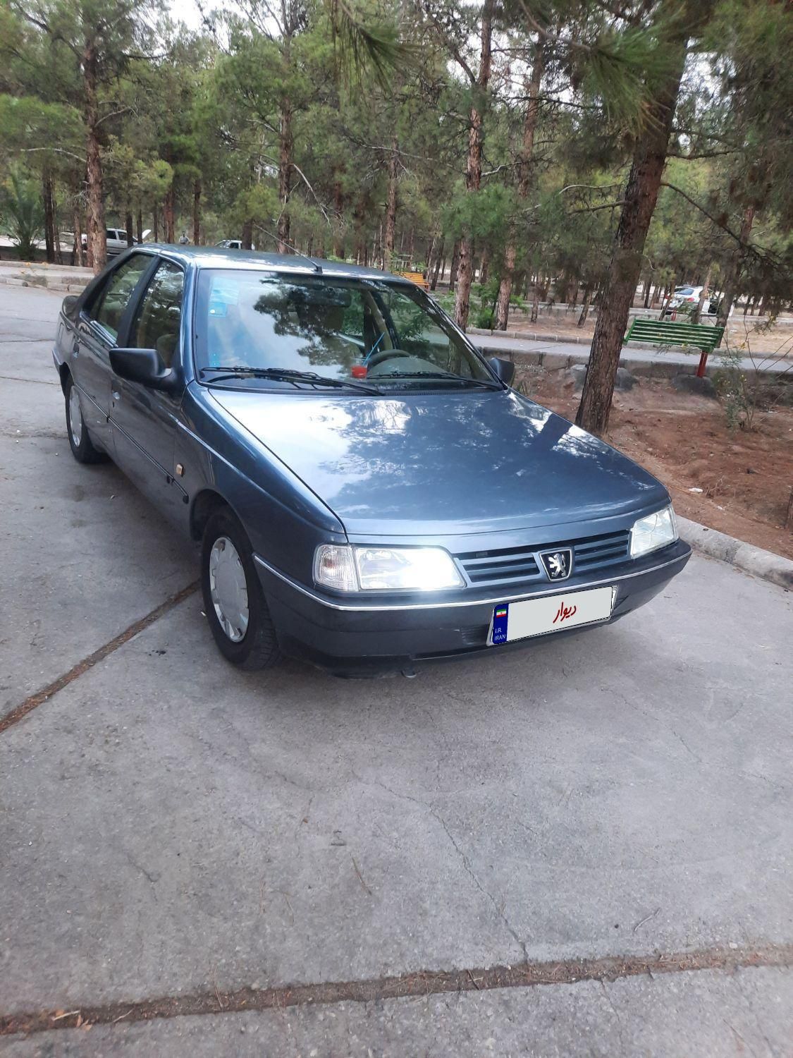 پژو 405 GLX - دوگانه سوز - 1396