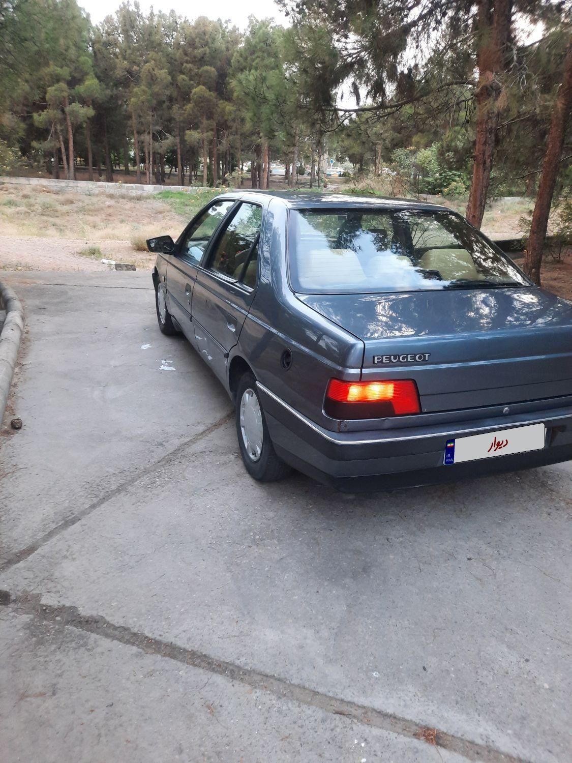 پژو 405 GLX - دوگانه سوز - 1396