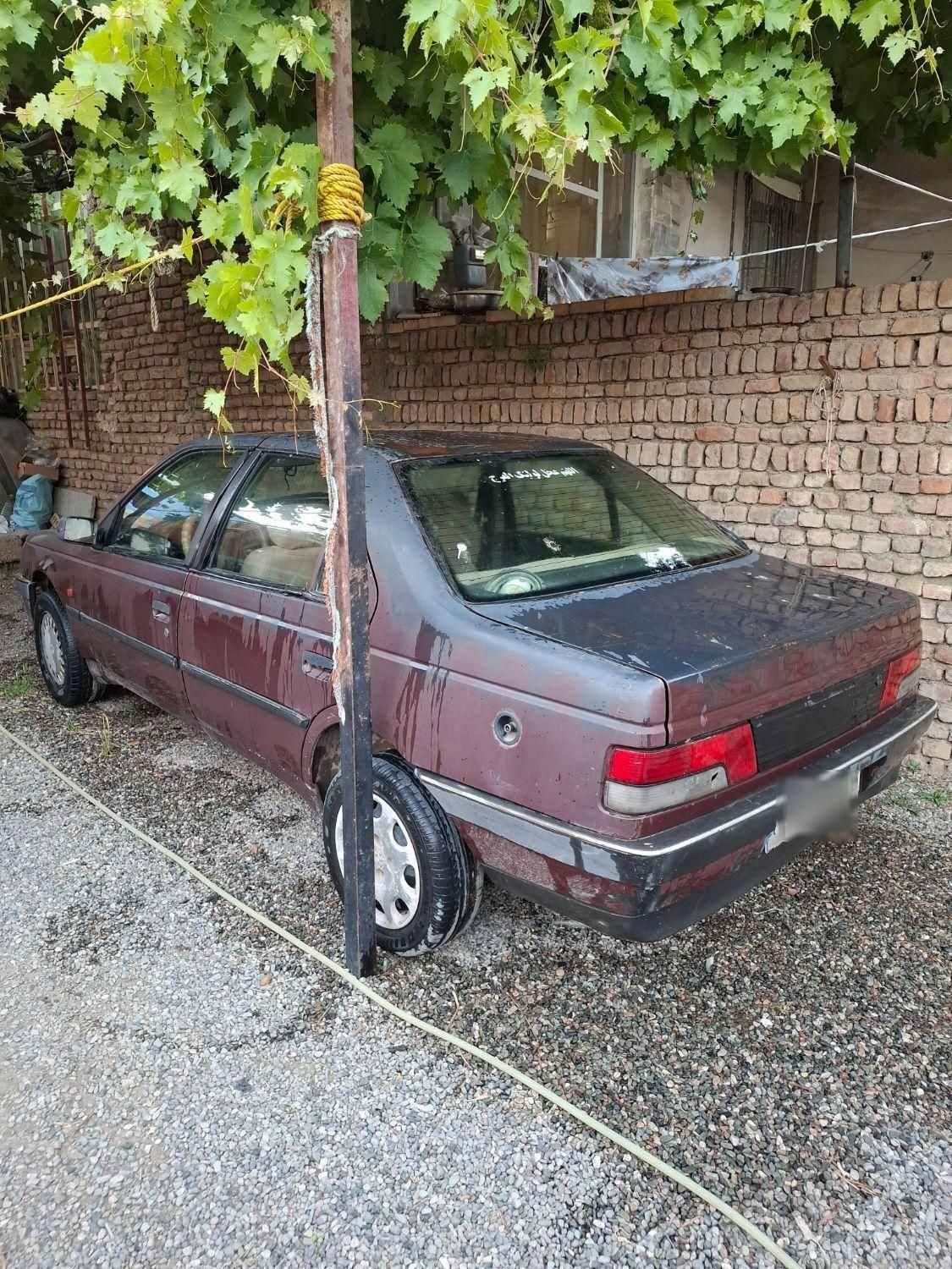پژو آردی دوگانه سوز CNG - 1382