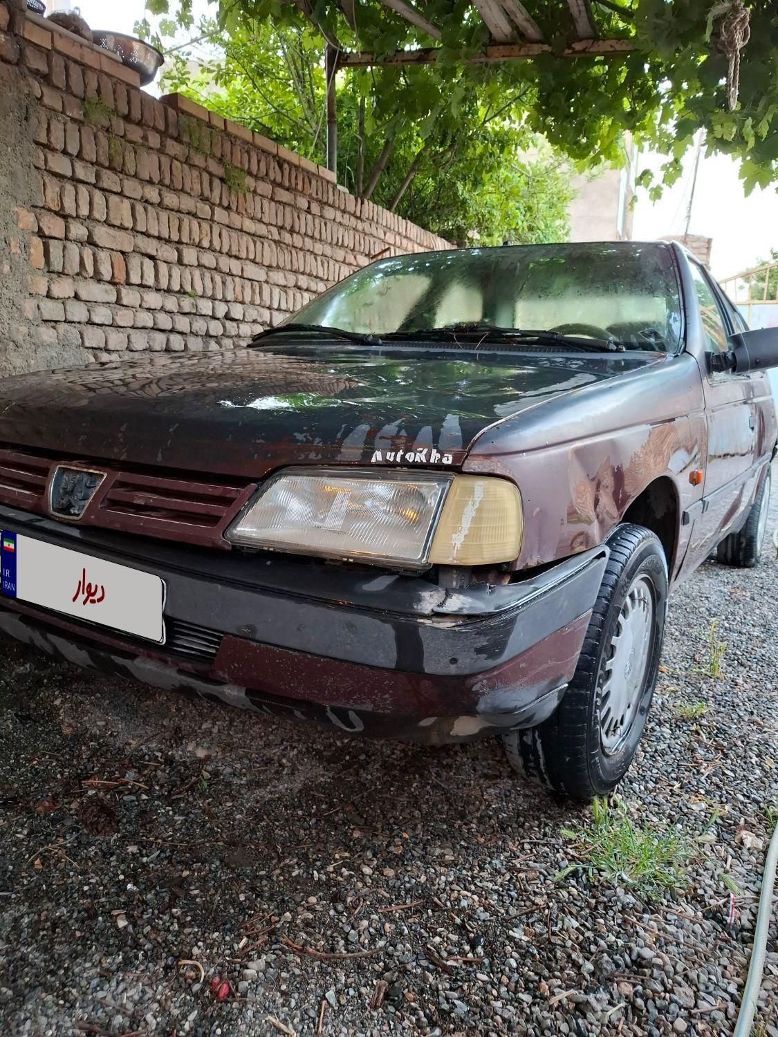 پژو آردی دوگانه سوز CNG - 1382