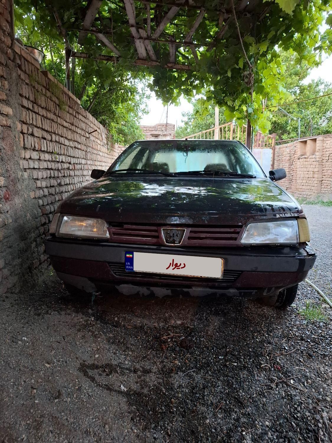 پژو آردی دوگانه سوز CNG - 1382
