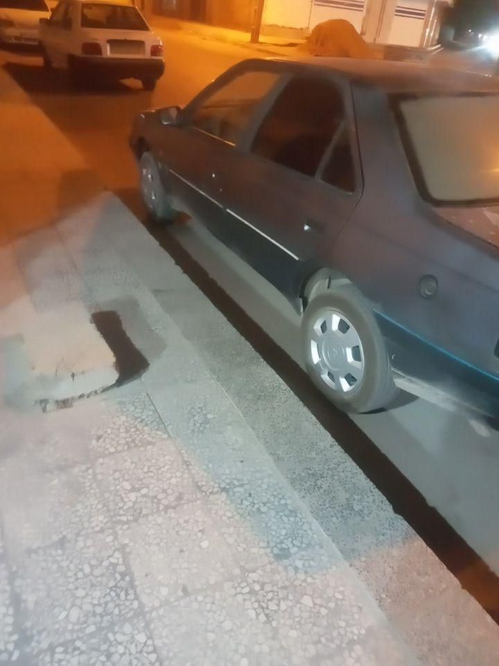 پژو 405 GL - دوگانه سوز CNG - 1369