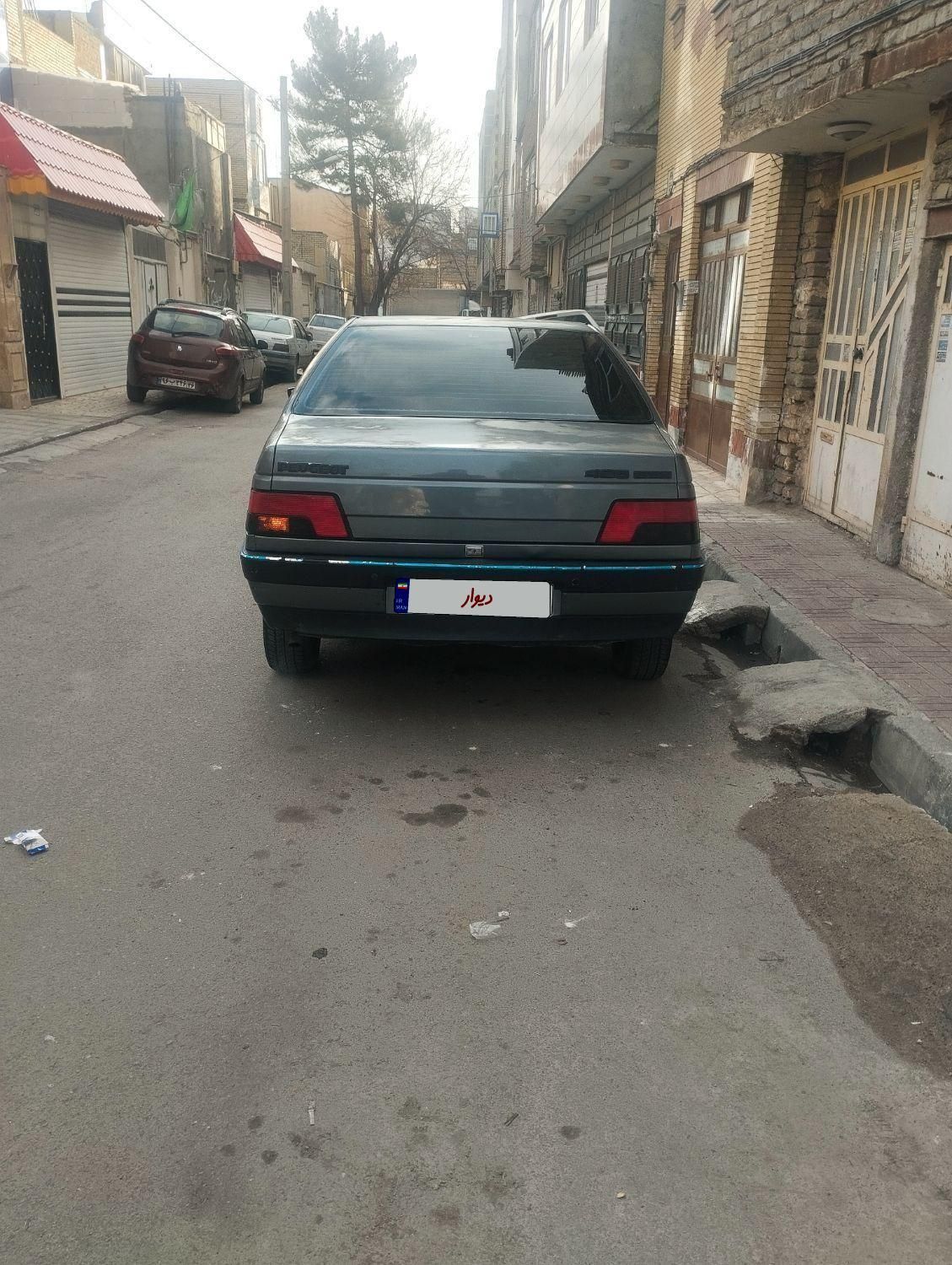 پژو 405 GLX - دوگانه سوز - 1390