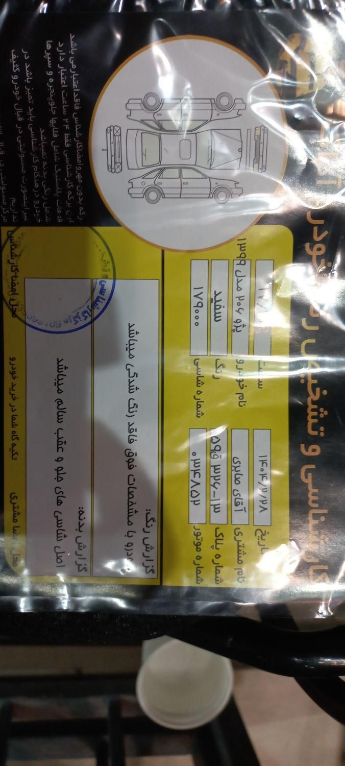پژو 206 تیپ 2 - 1399
