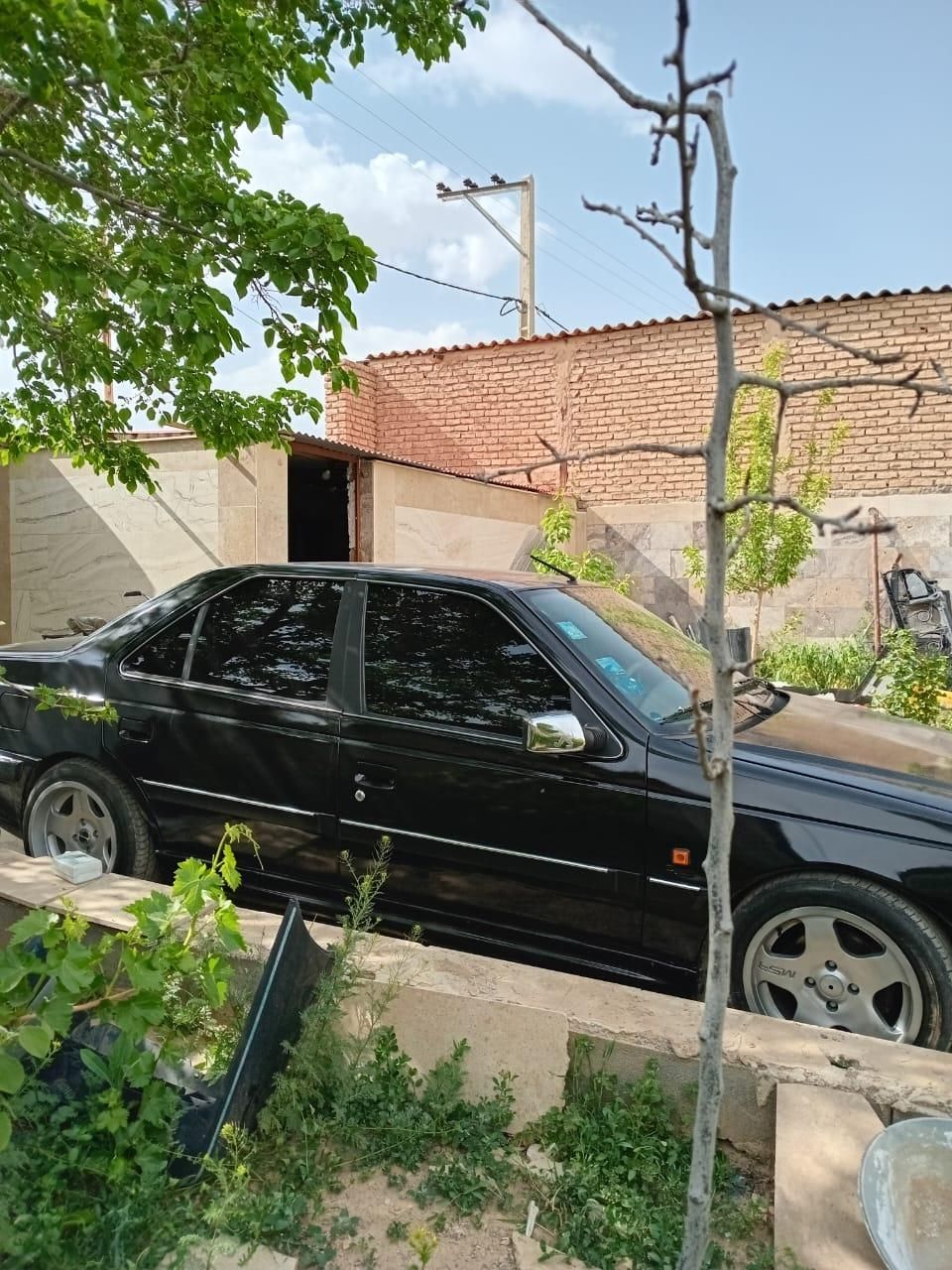 پژو پارس دوگانه سوز - 1381