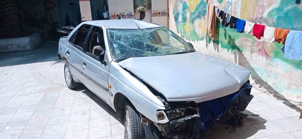 پژو 405 GL - دوگانه سوز CNG - 1373