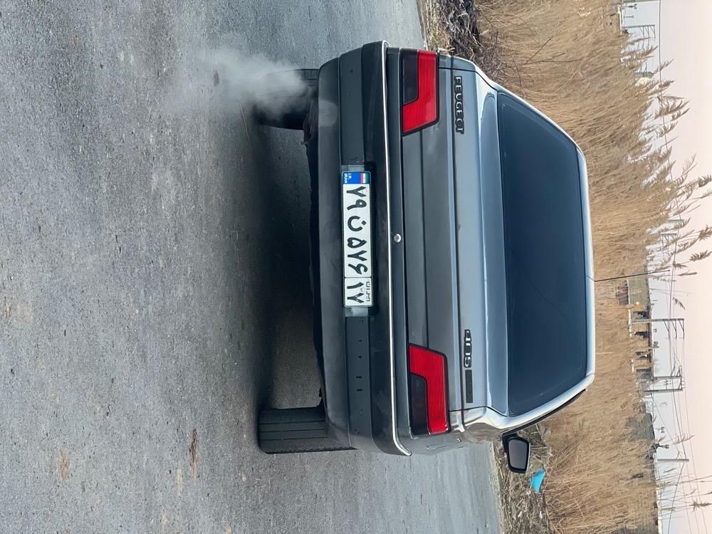 پژو 405 GL - دوگانه سوز CNG - 1369