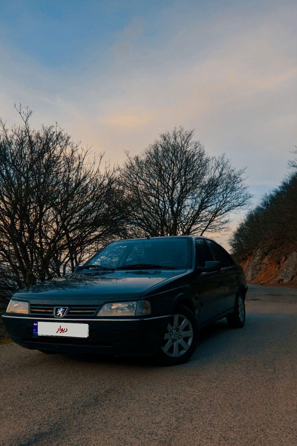پژو 405 GLI - 1384