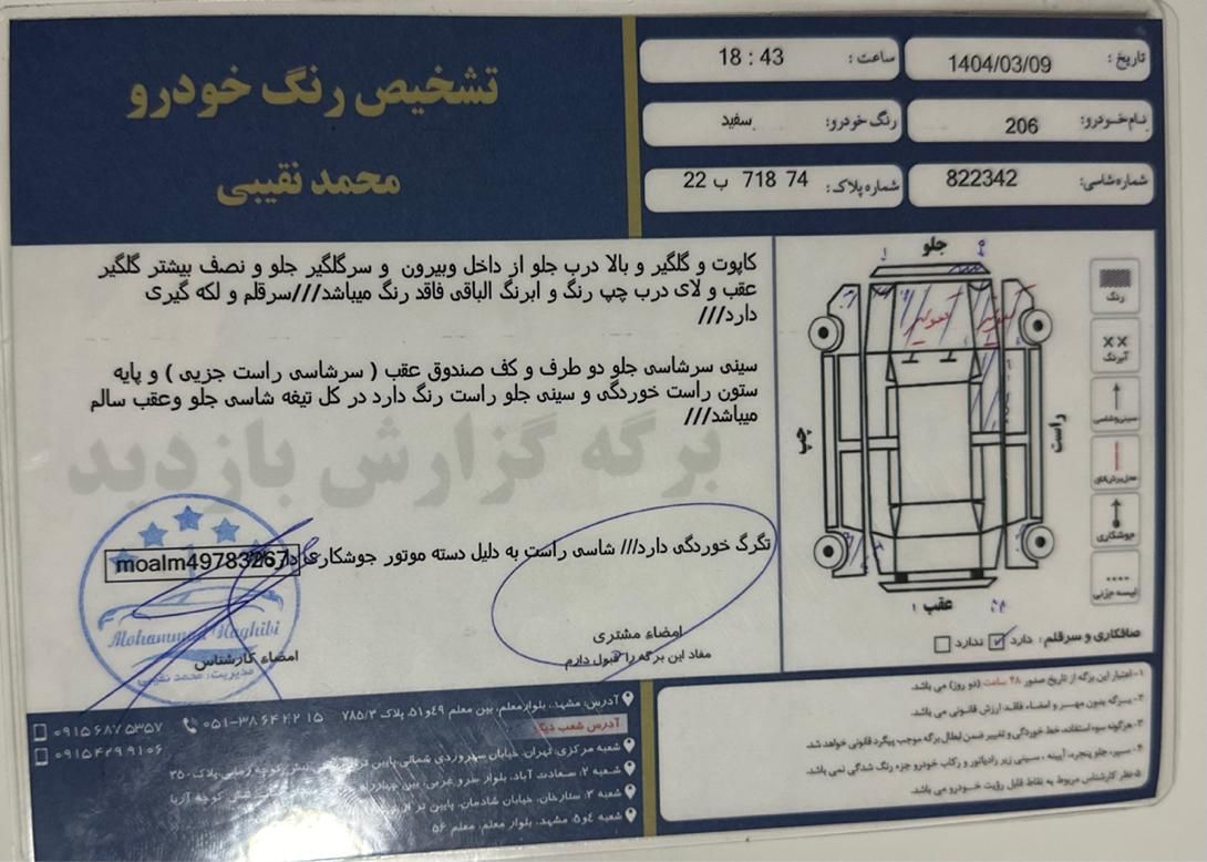 پژو 206 تیپ 2 - 1395