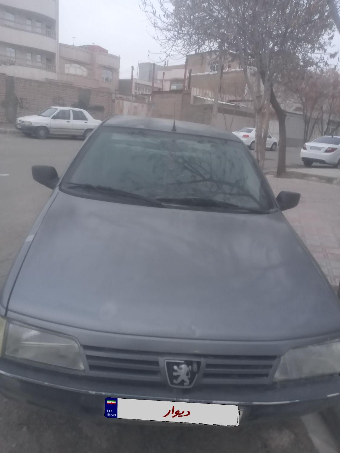 خودرو پژو، 405 آگهی ann_18421162
