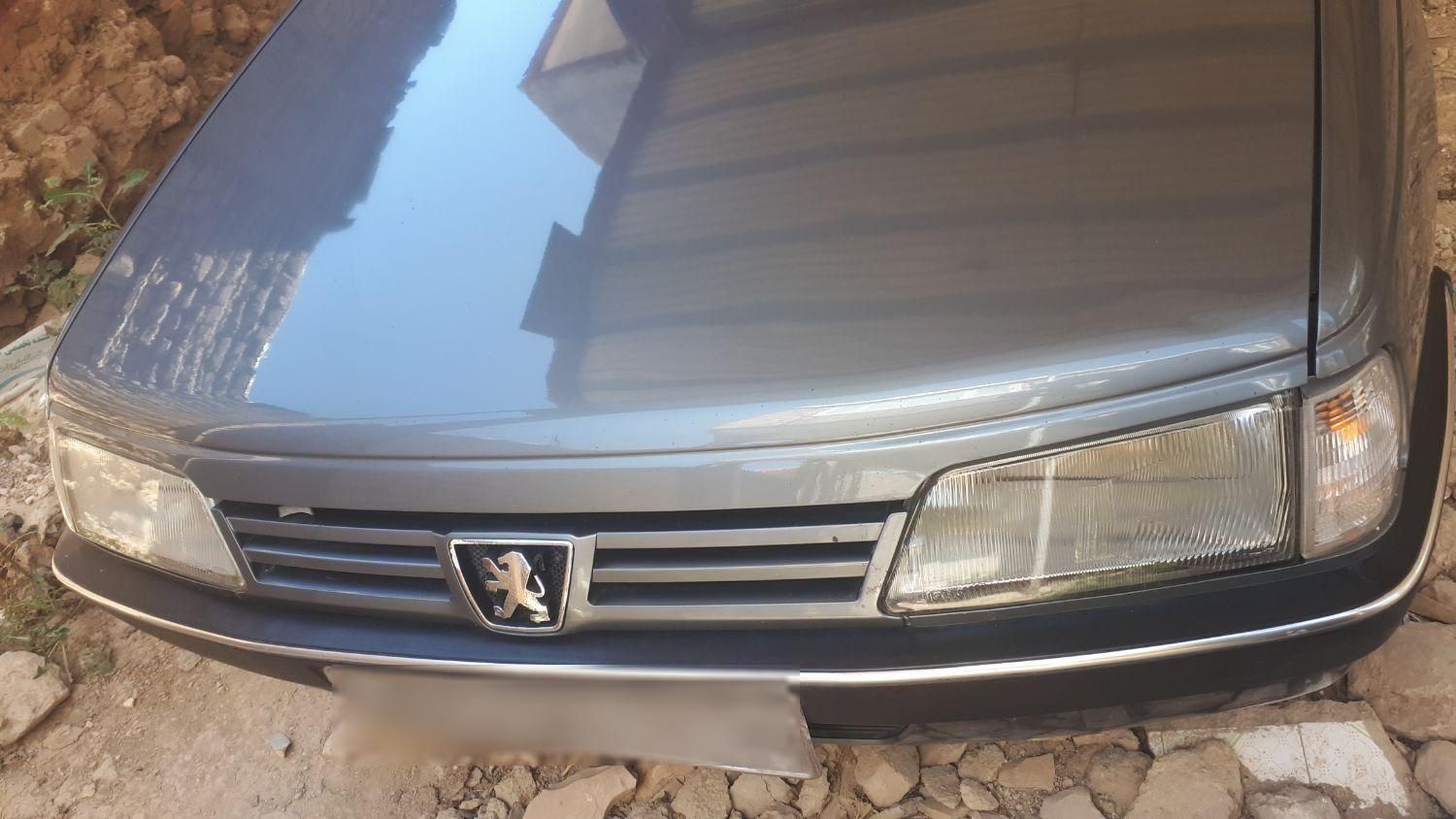پژو 405 GLX - دوگانه سوز - 1389