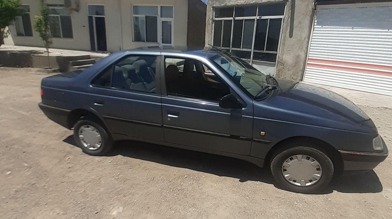 پژو 405 GLX - دوگانه سوز - 1395