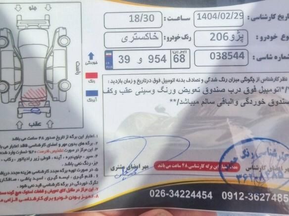پژو 206 تیپ 2 - 1399