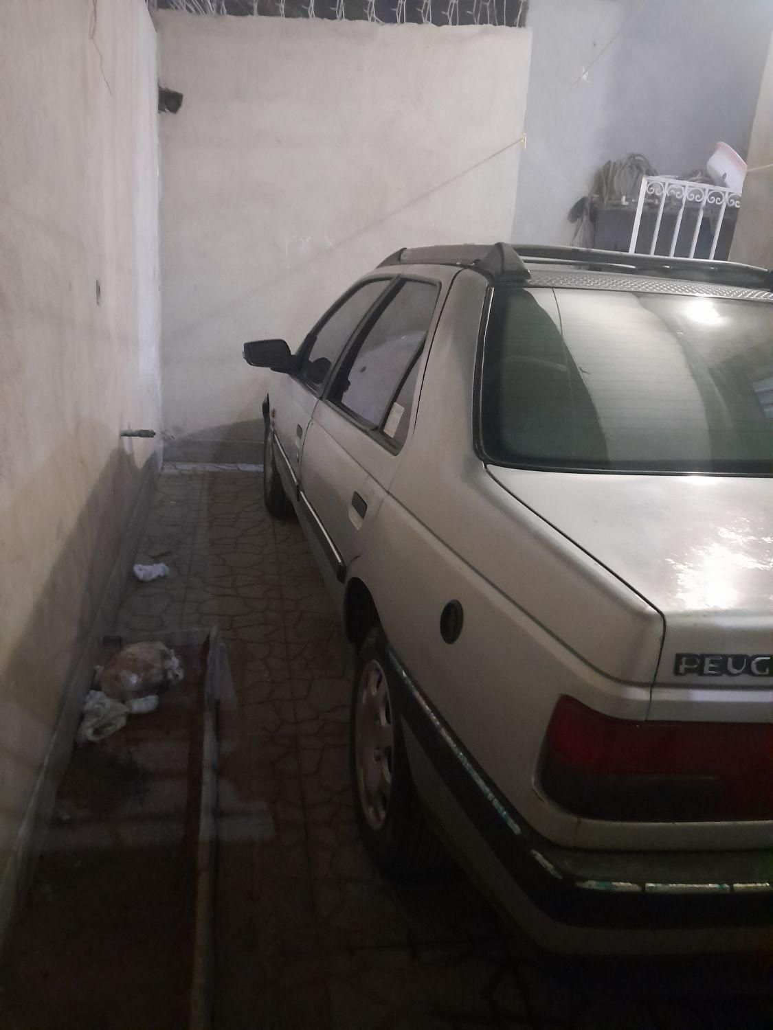 پژو 405 GLX - دوگانه سوز - 1389