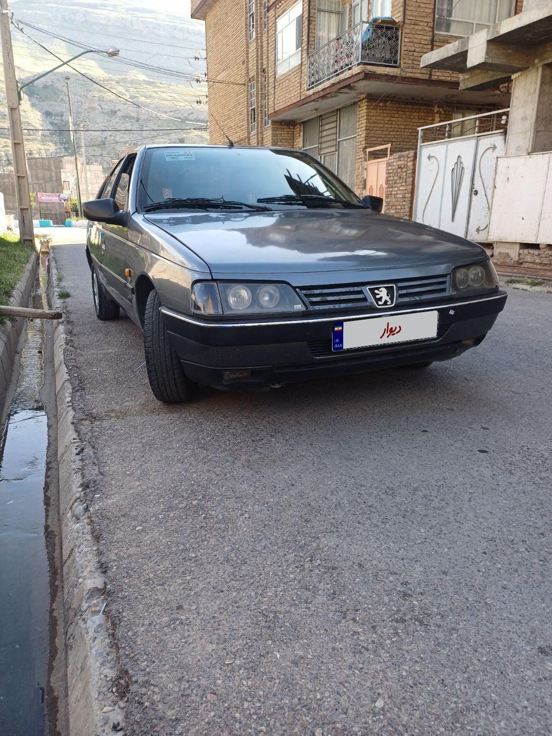 پژو 405 GLX - دوگانه سوز - 1388