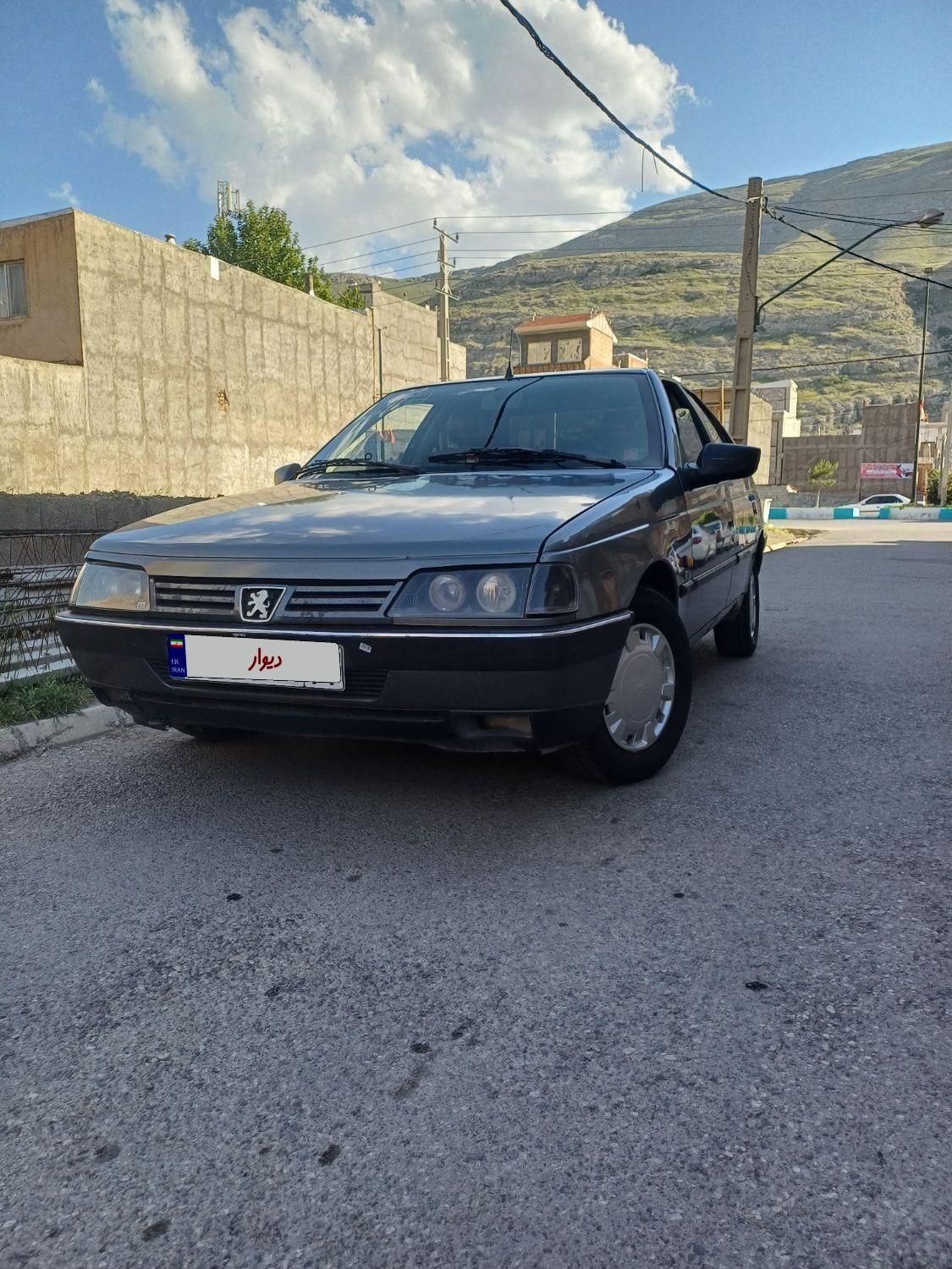 پژو 405 GLX - دوگانه سوز - 1388