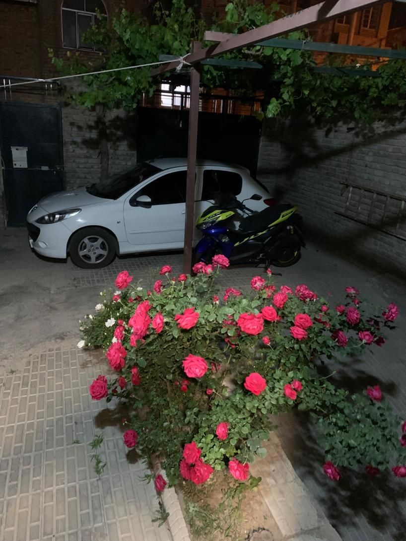 پژو 207 دنده‌ای فرمان هیدرولیک - 1396