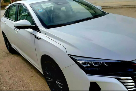 خودرو دانگ فنگ، شاین مکس آگهی ann_18444776