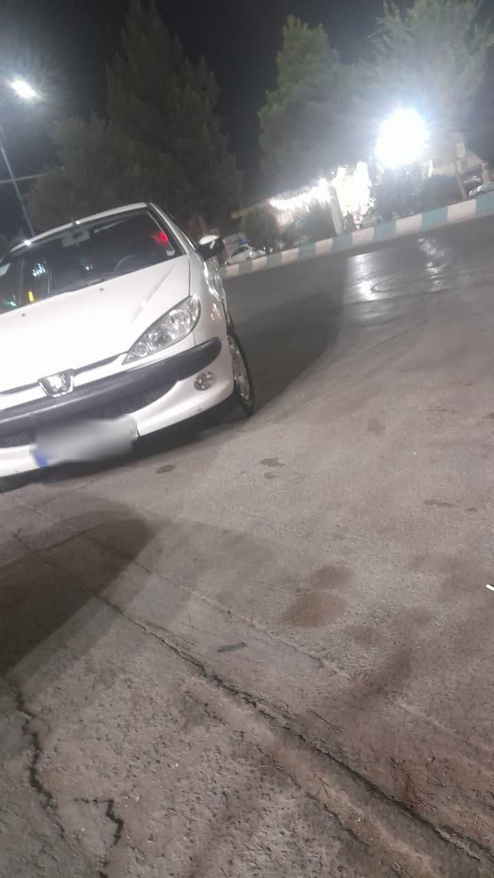 خودرو پژو، 206 آگهی ann_18445942