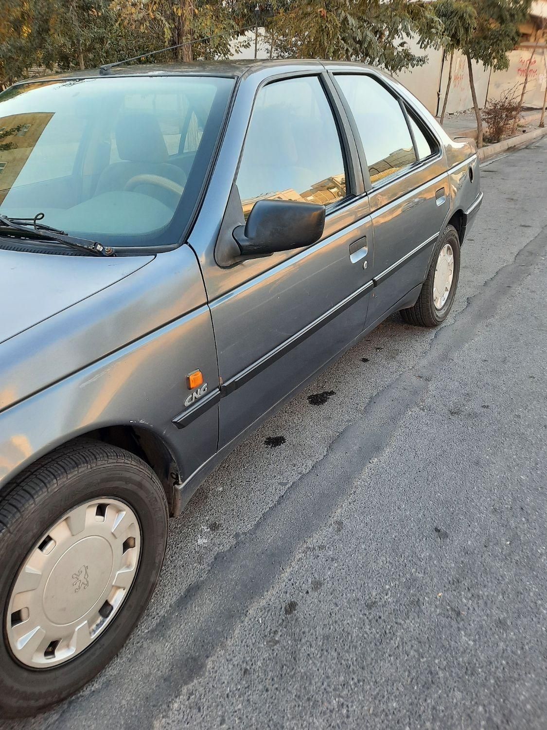 پژو 405 GLX - دوگانه سوز - 1394
