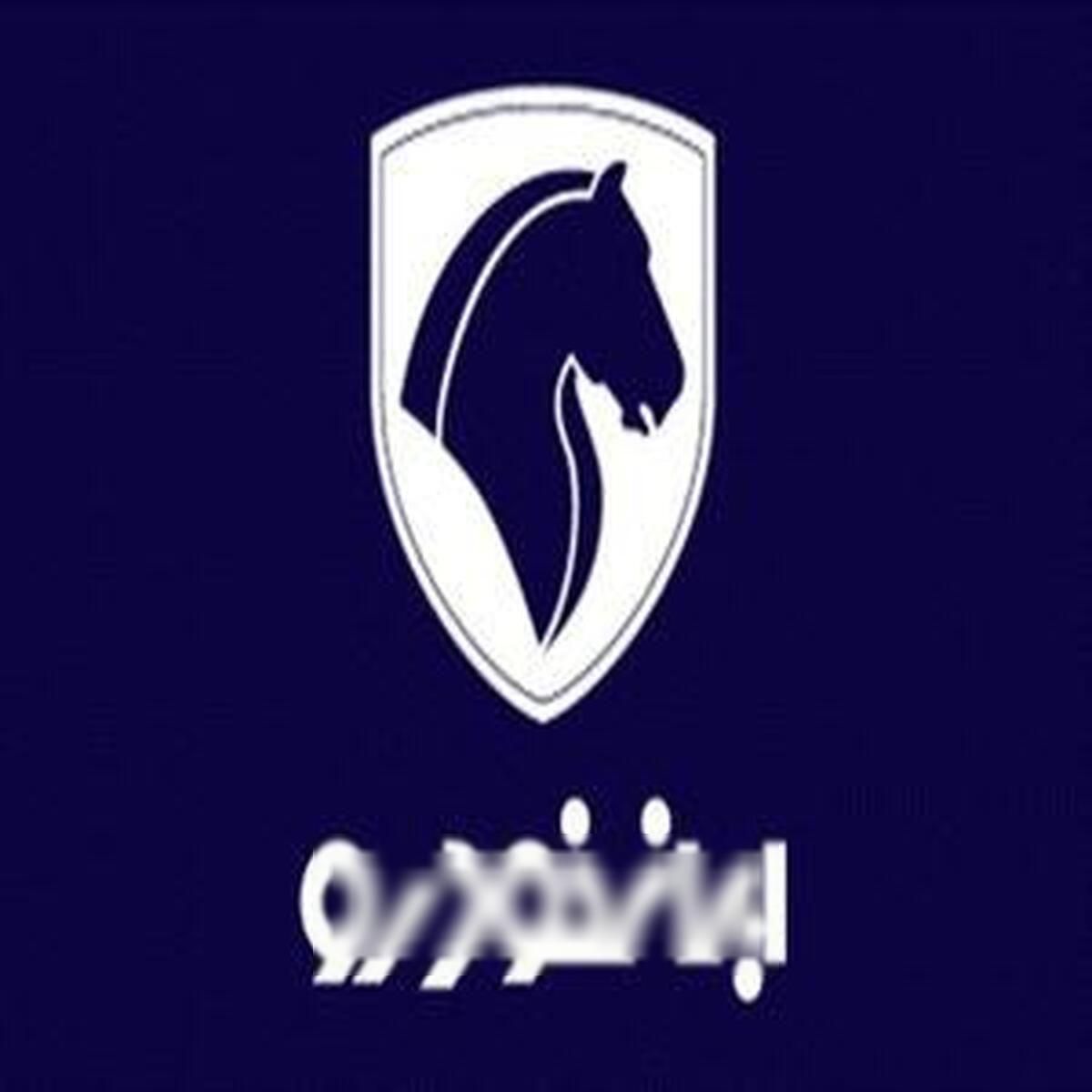 خودرو پژو، 206 آگهی ann_18448956