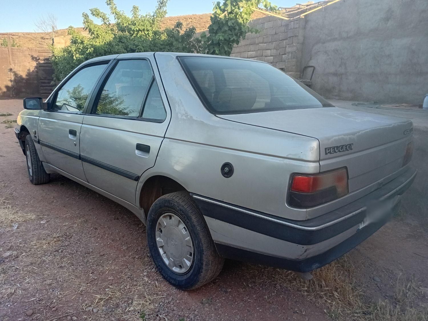 پژو 405 GLX - دوگانه سوز - 1388