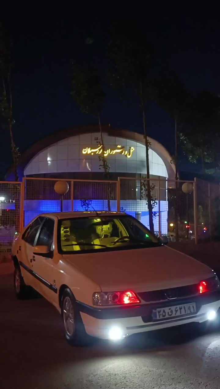 پژو 405 SLX بنزینی TU5 - 1391