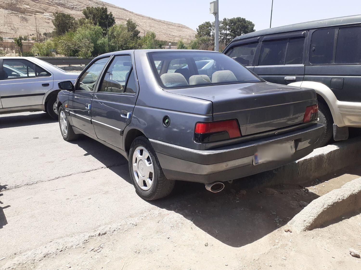 پژو 405 GLX - دوگانه سوز - 1394