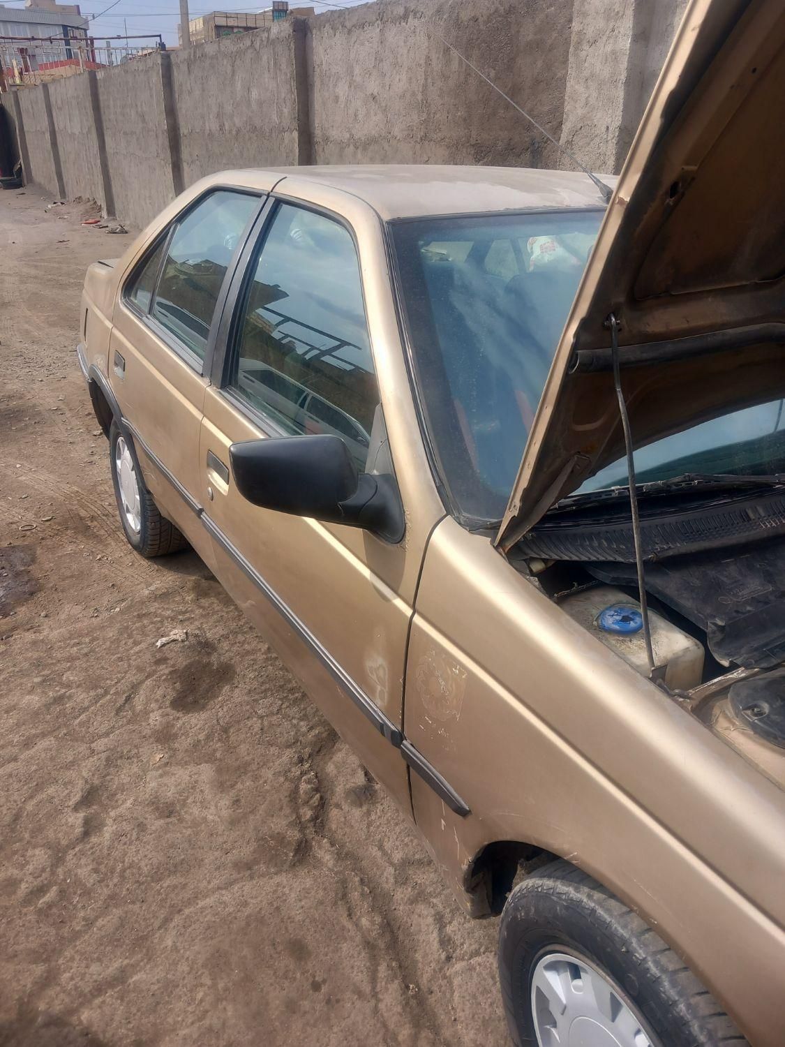 پژو 405 GL - دوگانه سوز CNG - 1373