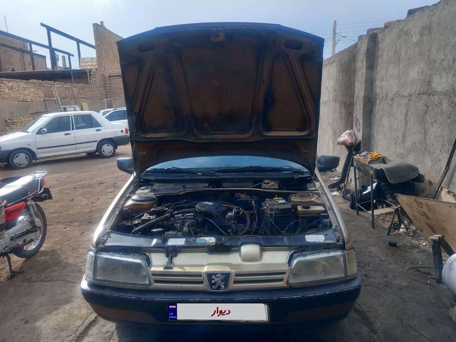 پژو 405 GL - دوگانه سوز CNG - 1373