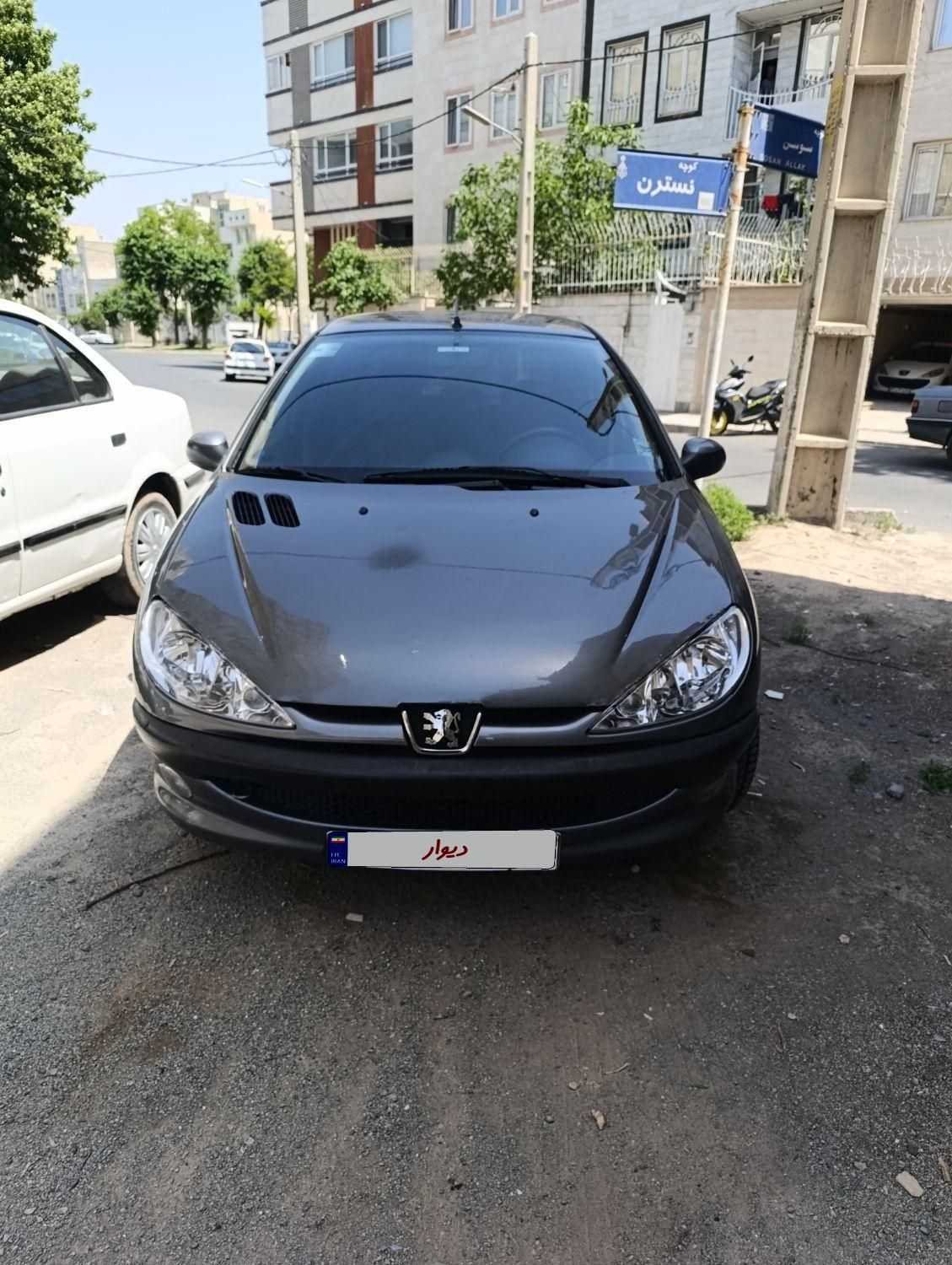 پژو 206 تیپ 5 - 1393