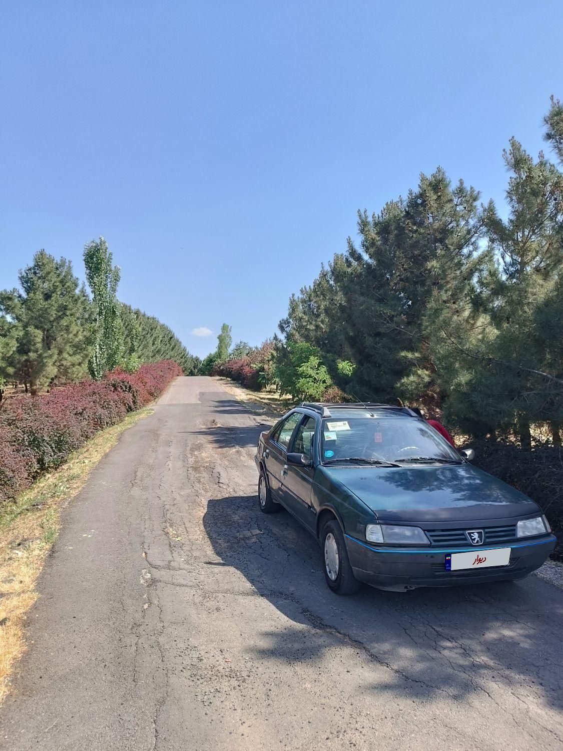 پژو آردی RDI - 1385