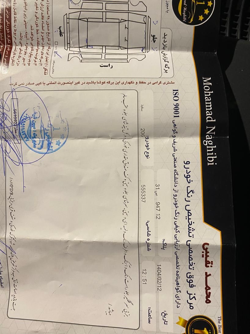 پژو 206 تیپ 2 - 1391