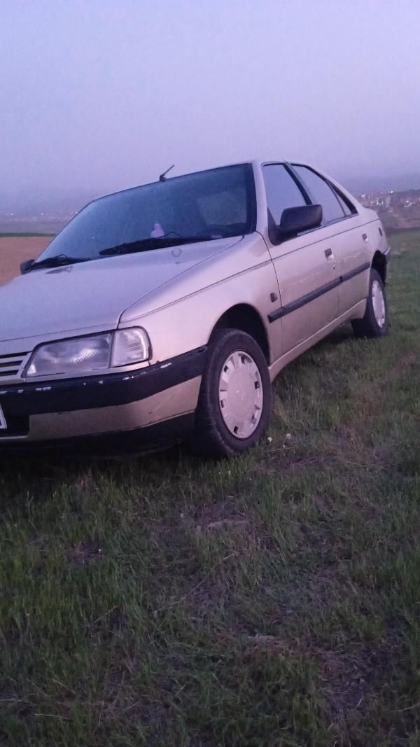پژو 405 GLX - دوگانه سوز - 1386