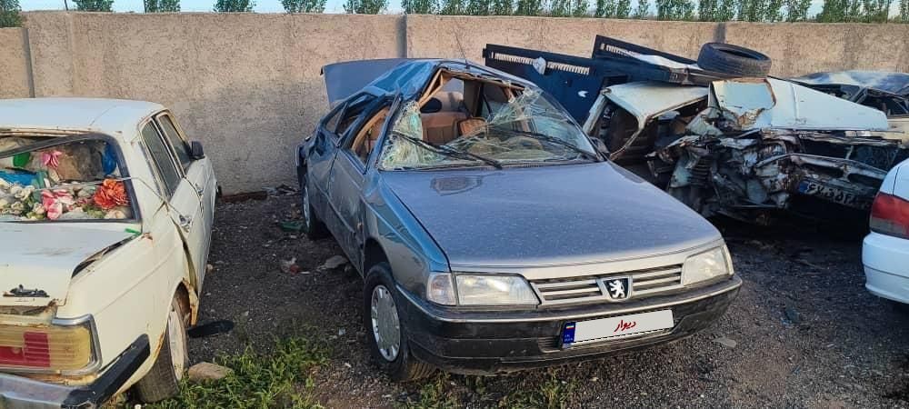 پژو 405 GLX - دوگانه سوز - 1391