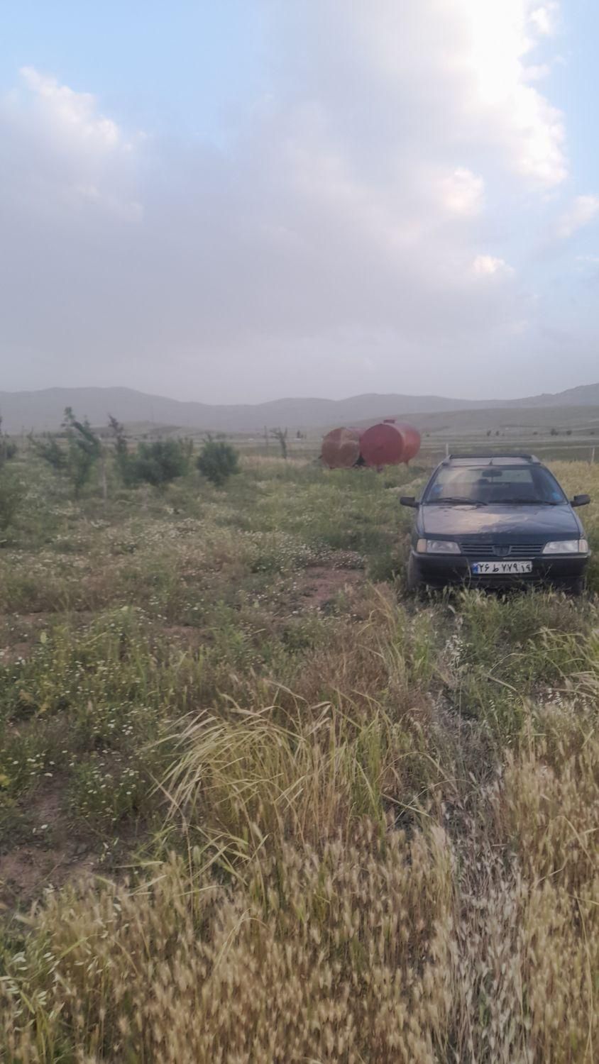 پژو آردی دوگانه سوز CNG - 1382