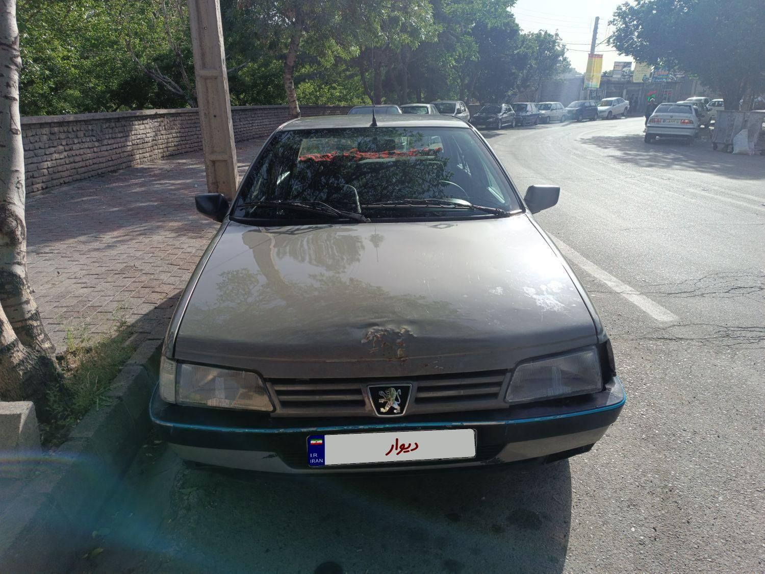 پژو آردی دوگانه سوز CNG - 1382