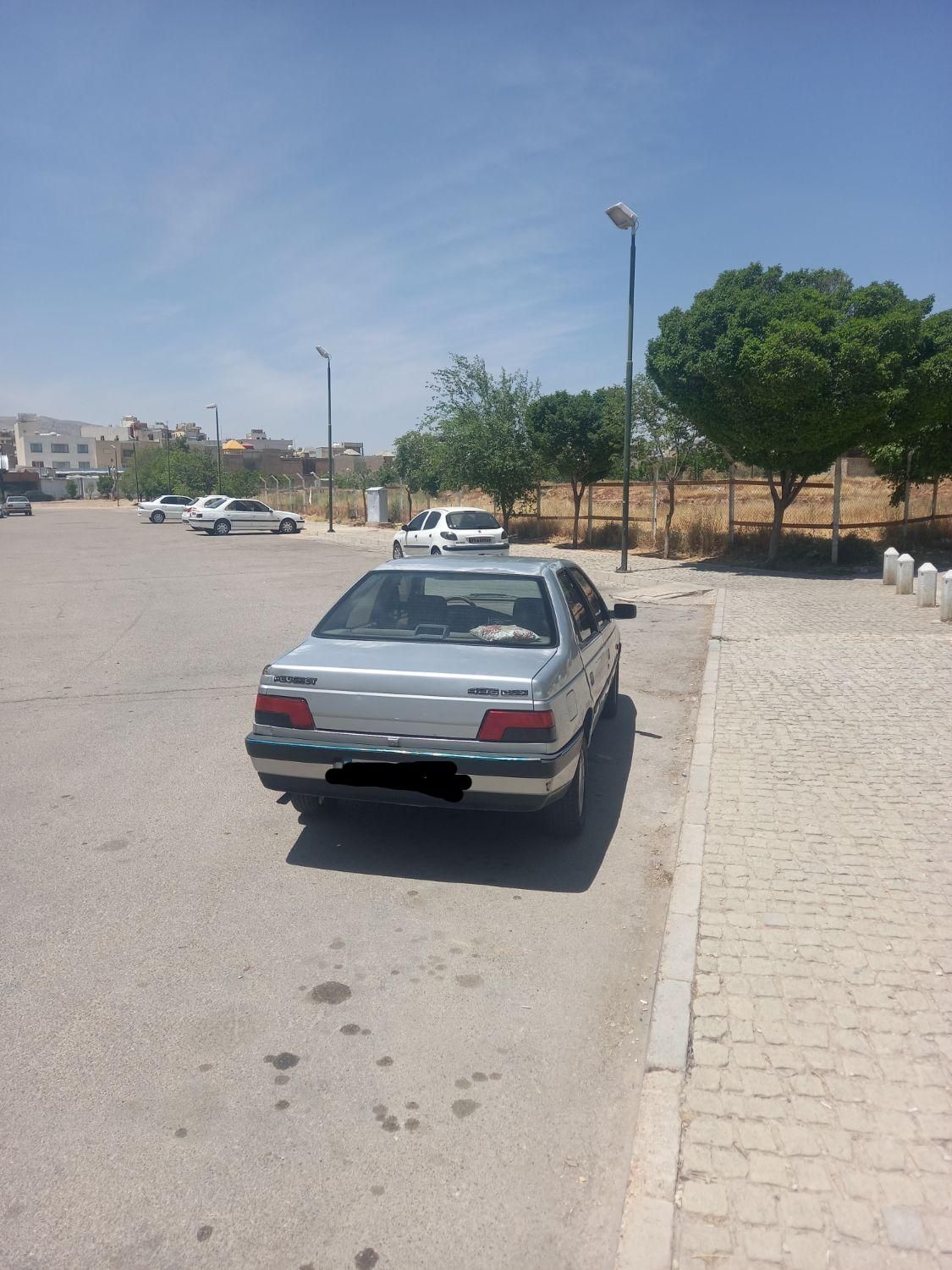 پژو 405 GLX - دوگانه سوز - 1390