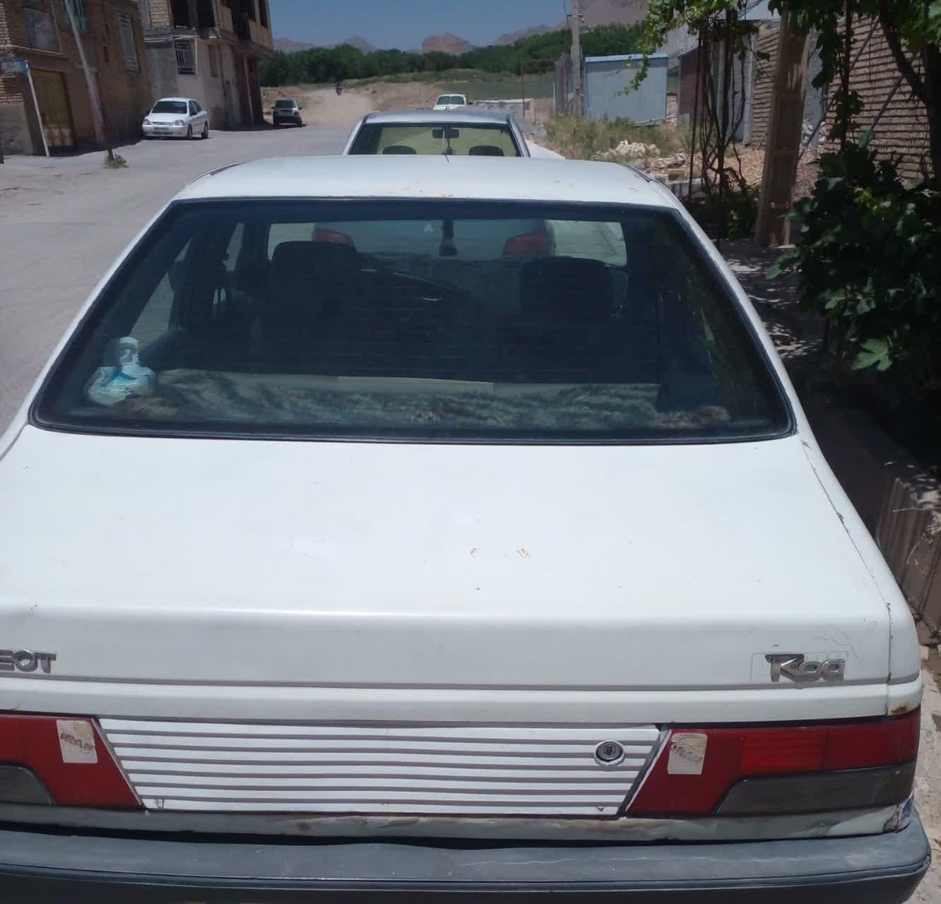 پژو آردی دوگانه سوز CNG - 1382